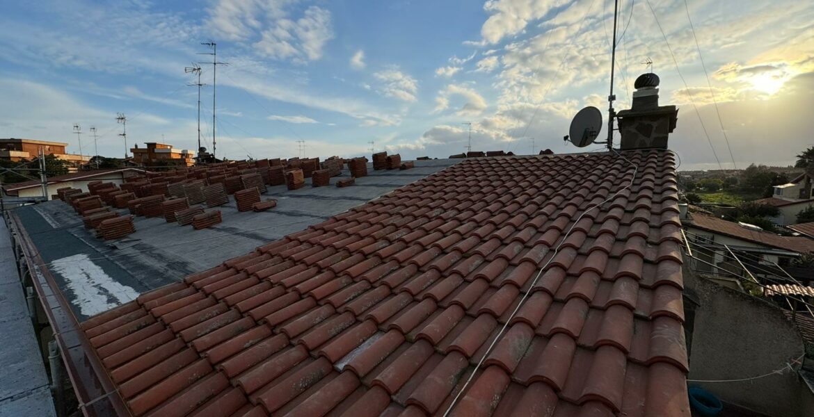 WhatsApp Image 2024-02-13 at 18.03.49